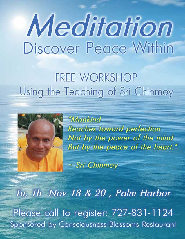 Meditation Workshop with Stutisheel in Palm Harbor, Florida
